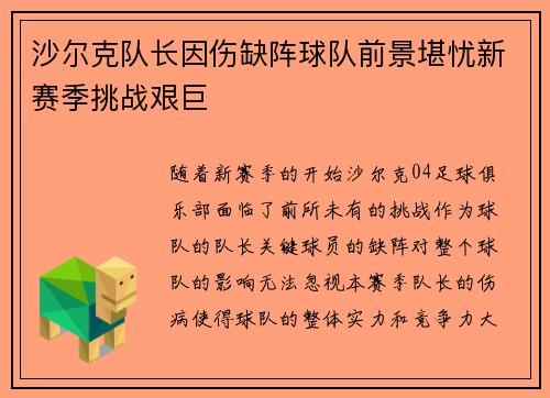 沙尔克队长因伤缺阵球队前景堪忧新赛季挑战艰巨