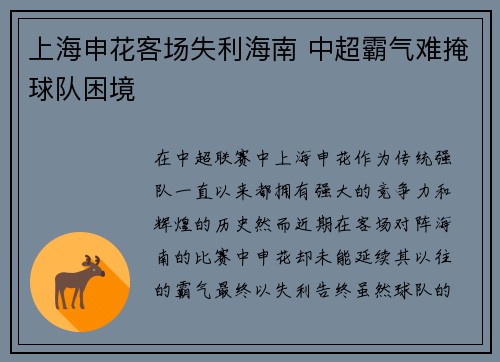 上海申花客场失利海南 中超霸气难掩球队困境